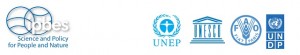 logoIPBESUN