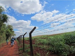 Proximidade da área agrícola com a mata de Santa Genebra. (c) Regina Longo.