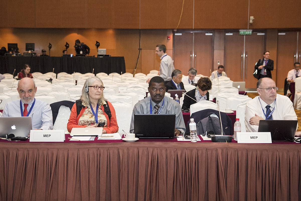 Multidisciplinary Expert Panel (MEP) durante a IV Plenária da Plataforma Intergovernamental sobre Biodiversidade e Serviços dos Ecossistemas (IPBES), realizada em Kuala Lumpur, Malásia, no fim de fevereiro. (C) IISD-RS