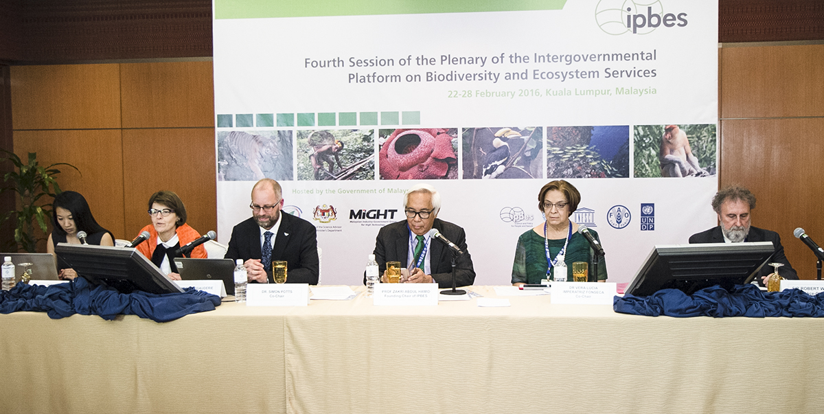 "Thematic assessment of pollinators, pollination and food production" durante a IV Plenária da Plataforma Intergovernamental sobre Biodiversidade e Serviços dos Ecossistemas (IPBES), realizada em Kuala Lumpur, Malásia, no fim de fevereiro. (C) IISD-RS