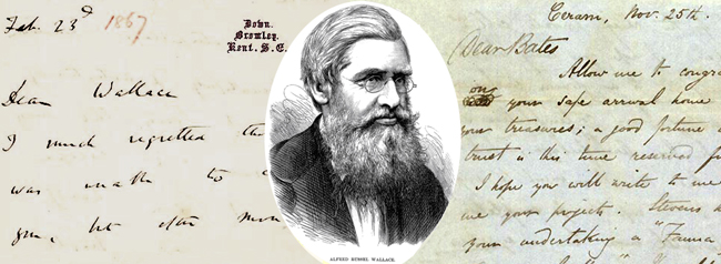 O naturalista britânico Alfred Russel Wallace (1823-1913). Imagem: http://wallaceletters.info/content/homepage