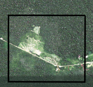 Fig5_NIH_JP_2014