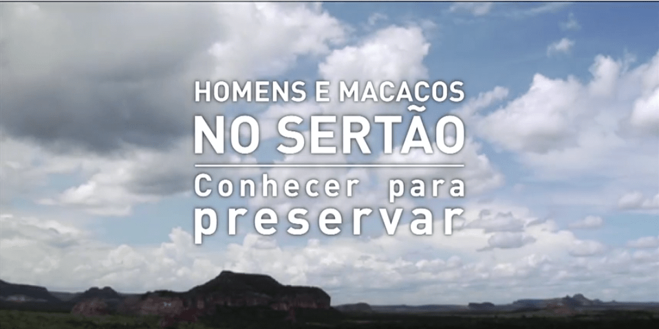 Captura de Tela 2015-12-14 às 17.20.24