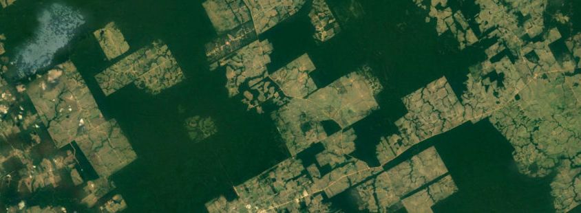 google_earth_brazilian_amazon_2016_08-850x310