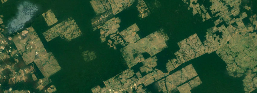 google_earth_brazilian_amazon_2016_08-850x310