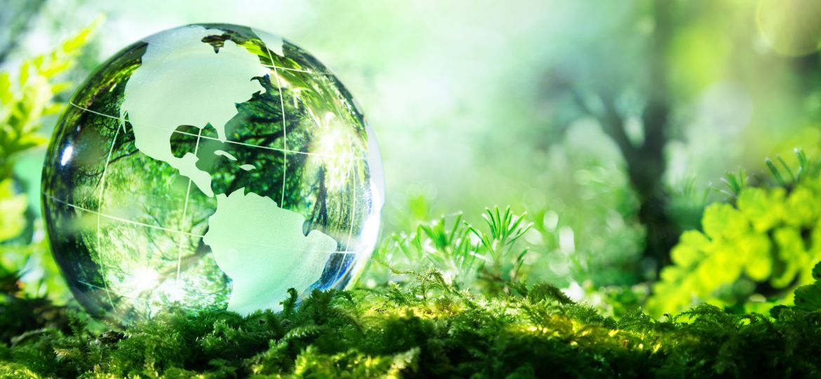 Usa globe resting in a forest - environment concept