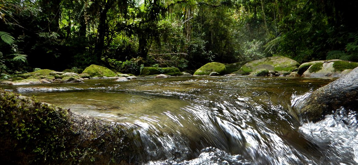 ATL Rio Indaiá Ubatuba