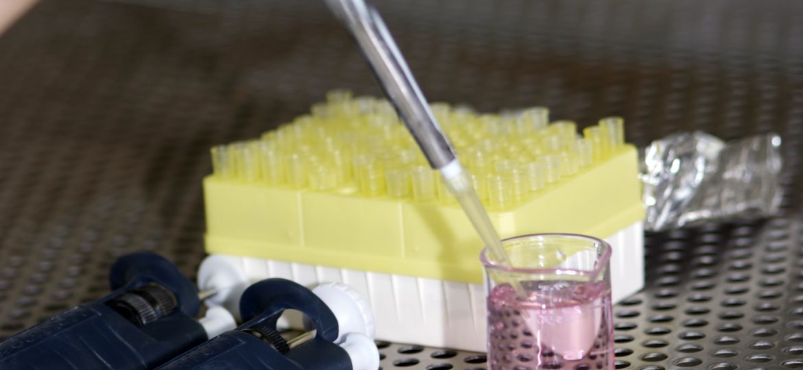 GER laboratorio 2