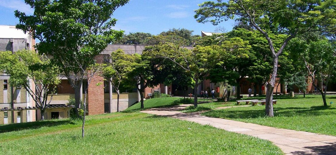 IB-Unicamp