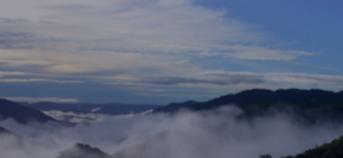 BIOTA - campo Newsletter - fundo C