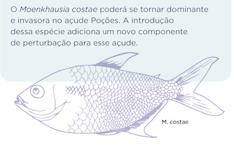 Captura de Tela 2021-05-06 às 16.49.40