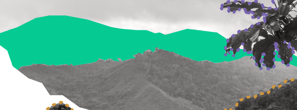 perguntas natureza e sociedade