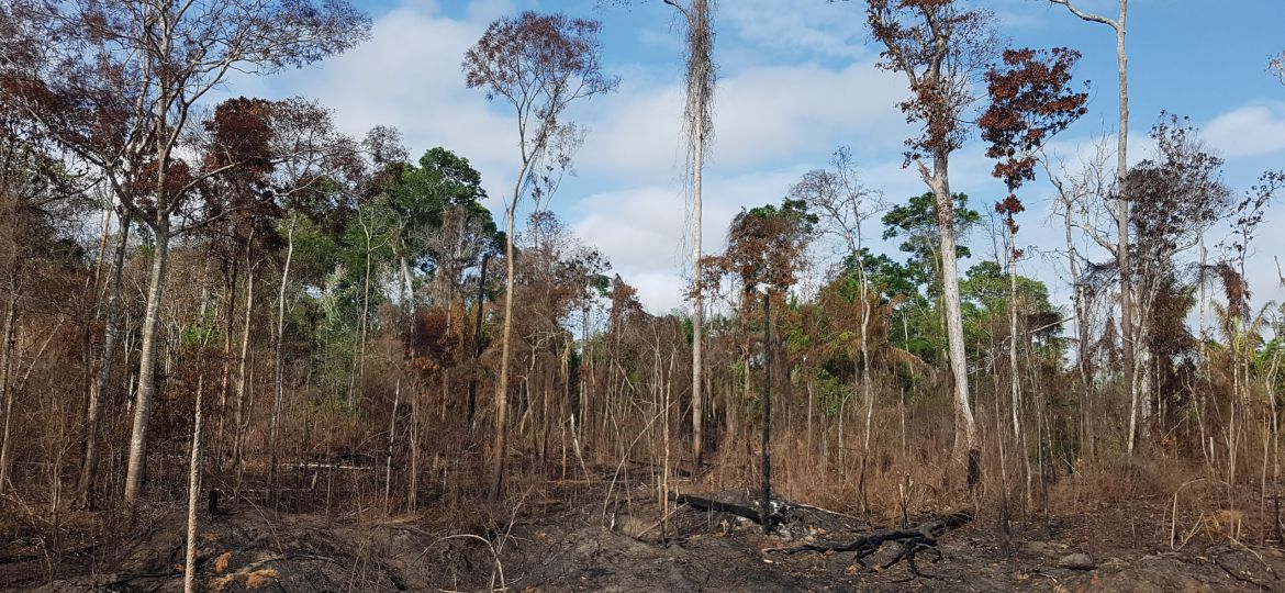 Flona km74 - 2nd fire_Erika Berenguer