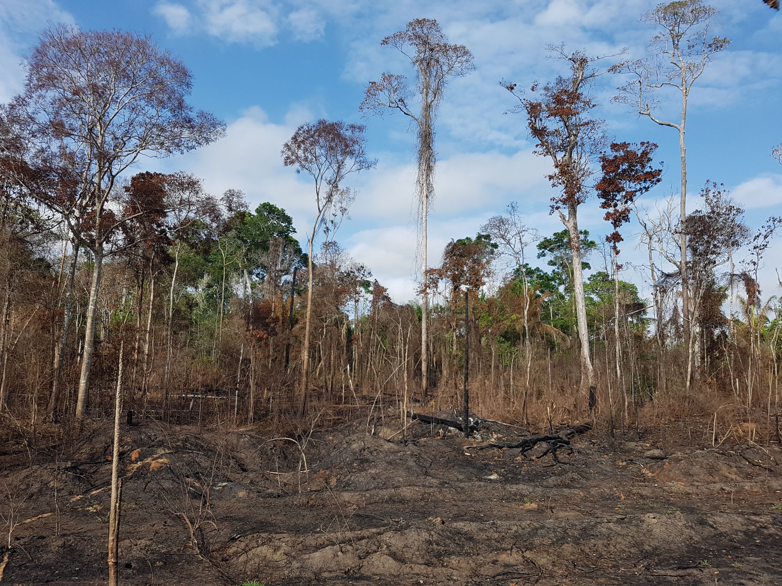 El Niño pode potencializar fogo na Amazônia, alertam