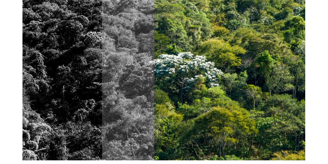 BIOTA 2023