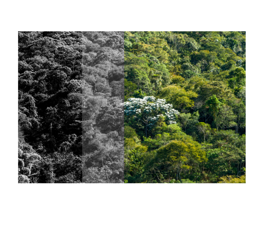 BIOTA 2023