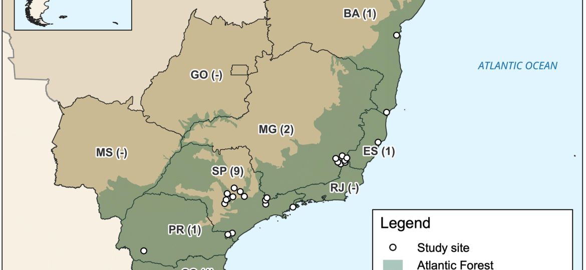 Mapa_CustosEBenefíciosDoReflorestamentoAindaSãoPoucoQuantificados