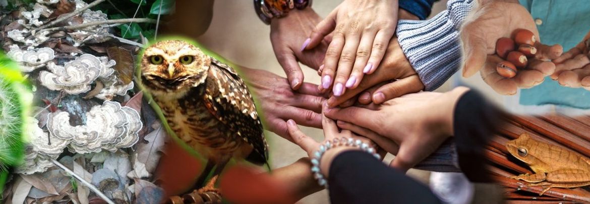 Forum-Patgen-1900-x-500-300-dpi-1536x404