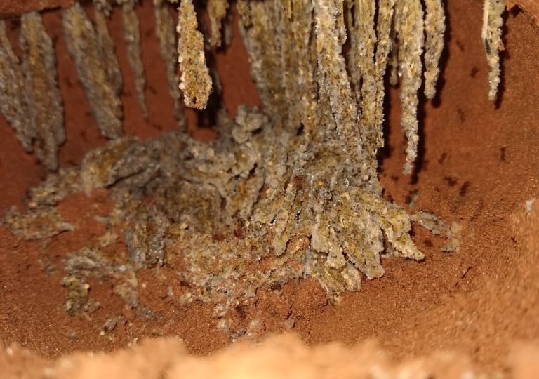 CAB3B76E-4857-4B77-8352-87D8E7953833_1_105_c