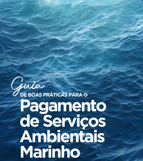 Captura de Tela 2025-06-03 às 09.48.47