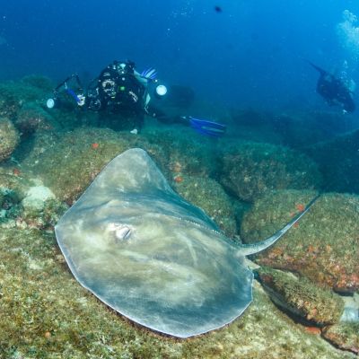 WhatsApp Image 2024-11-25 at 12.04.41