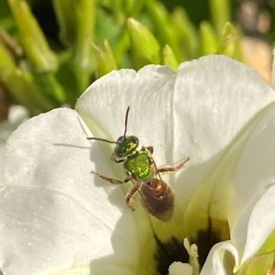 WhatsApp Image 2025-07-08 at 13.57.42