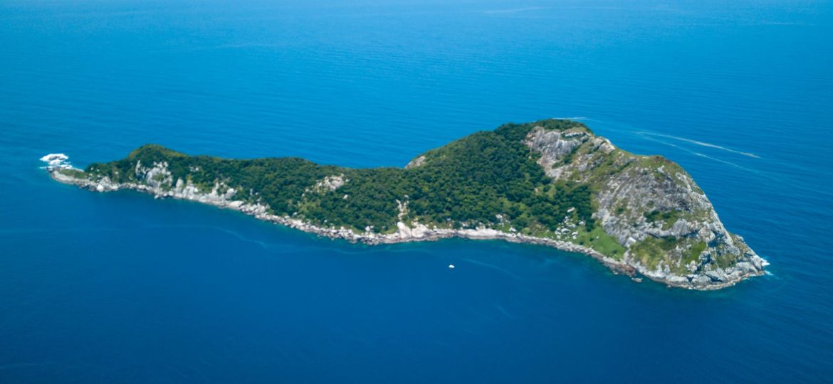 Ilha da Queimada Grande_Léo Francini