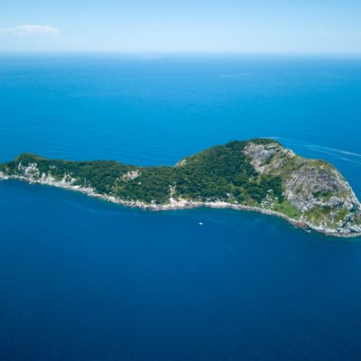 Ilha da Queimada Grande_Léo Francini