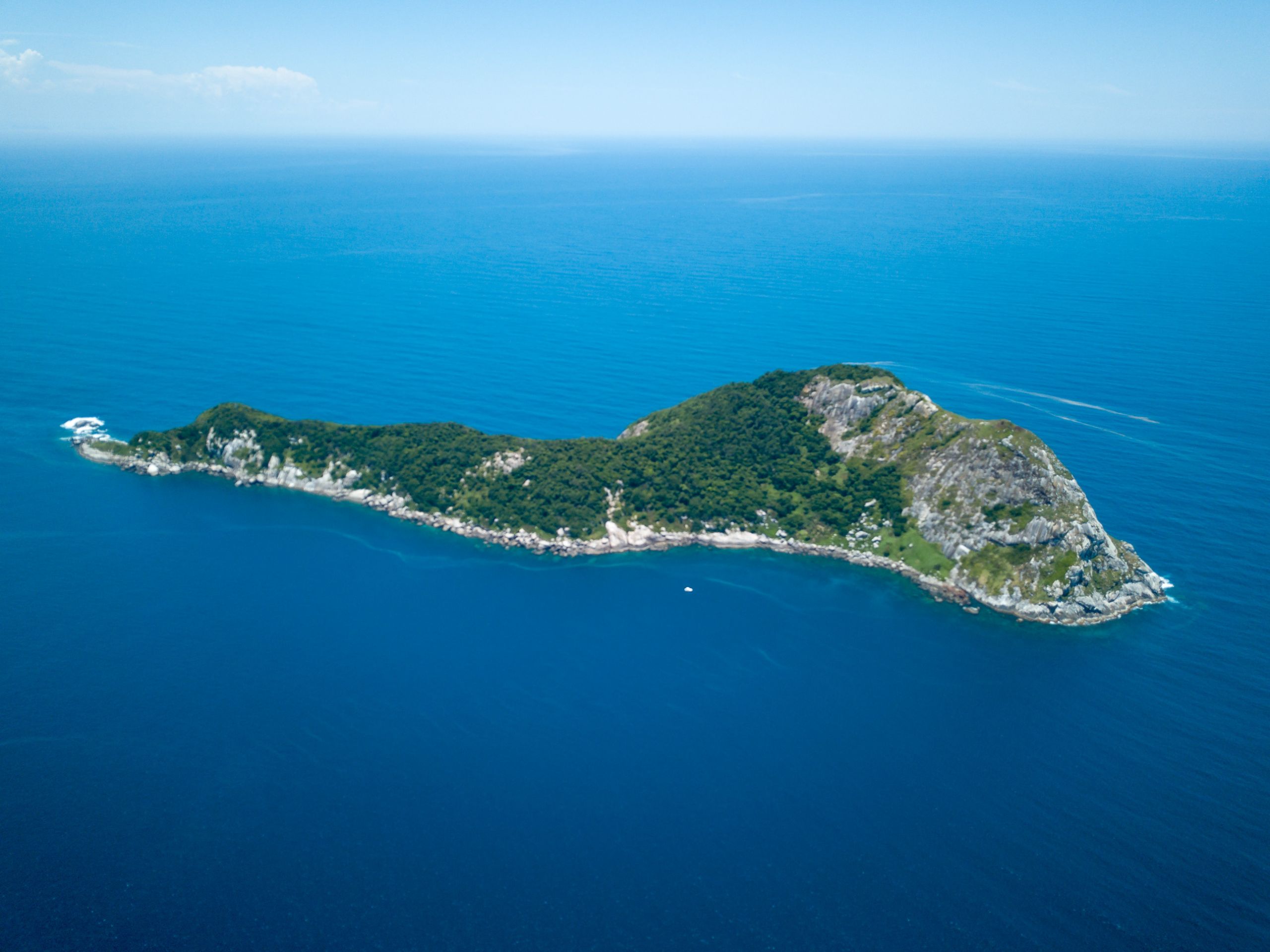 Ilha da Queimada Grande_Léo Francini