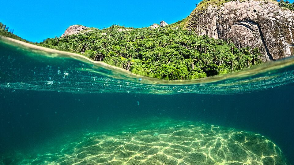 Neto_ilhabela..alcatrazes.2025