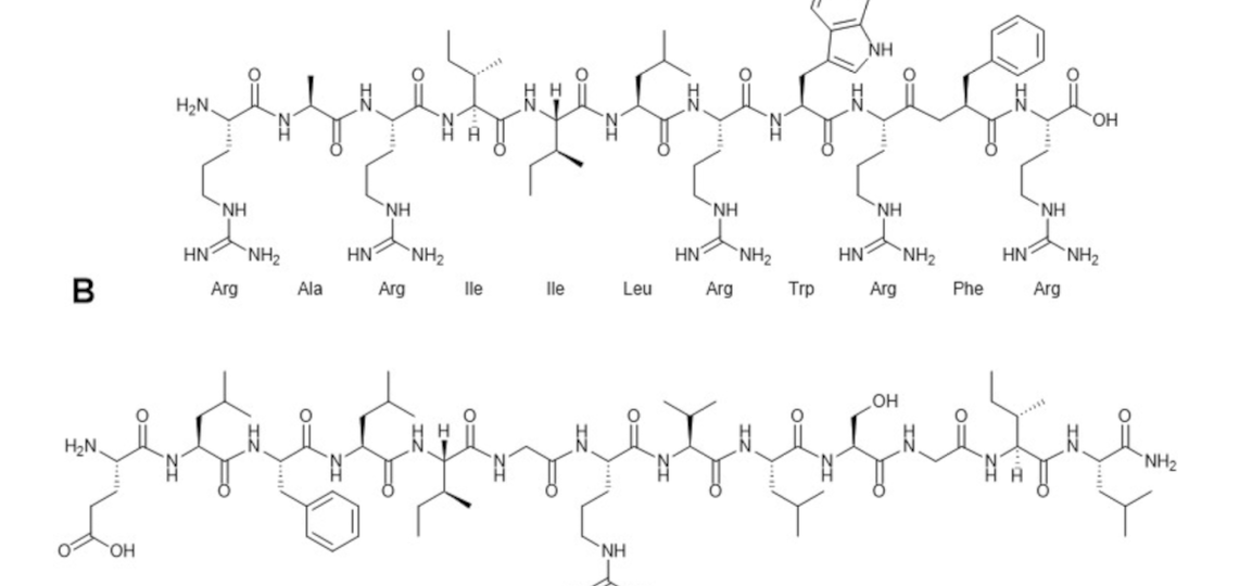 Captura de Tela 2025-11-05 às 09.14.12